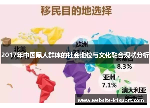 2017年中国黑人群体的社会地位与文化融合现状分析